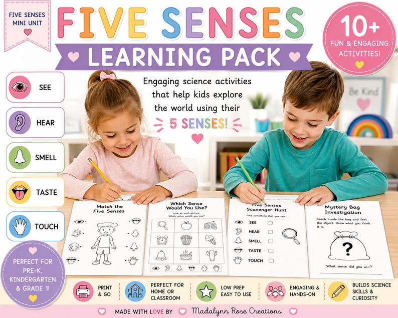 Five Senses Worksheets & Activities | Kindergarten Science Unit | Preschool Printable | Pre-K Grade 1 | Homeschool PDF